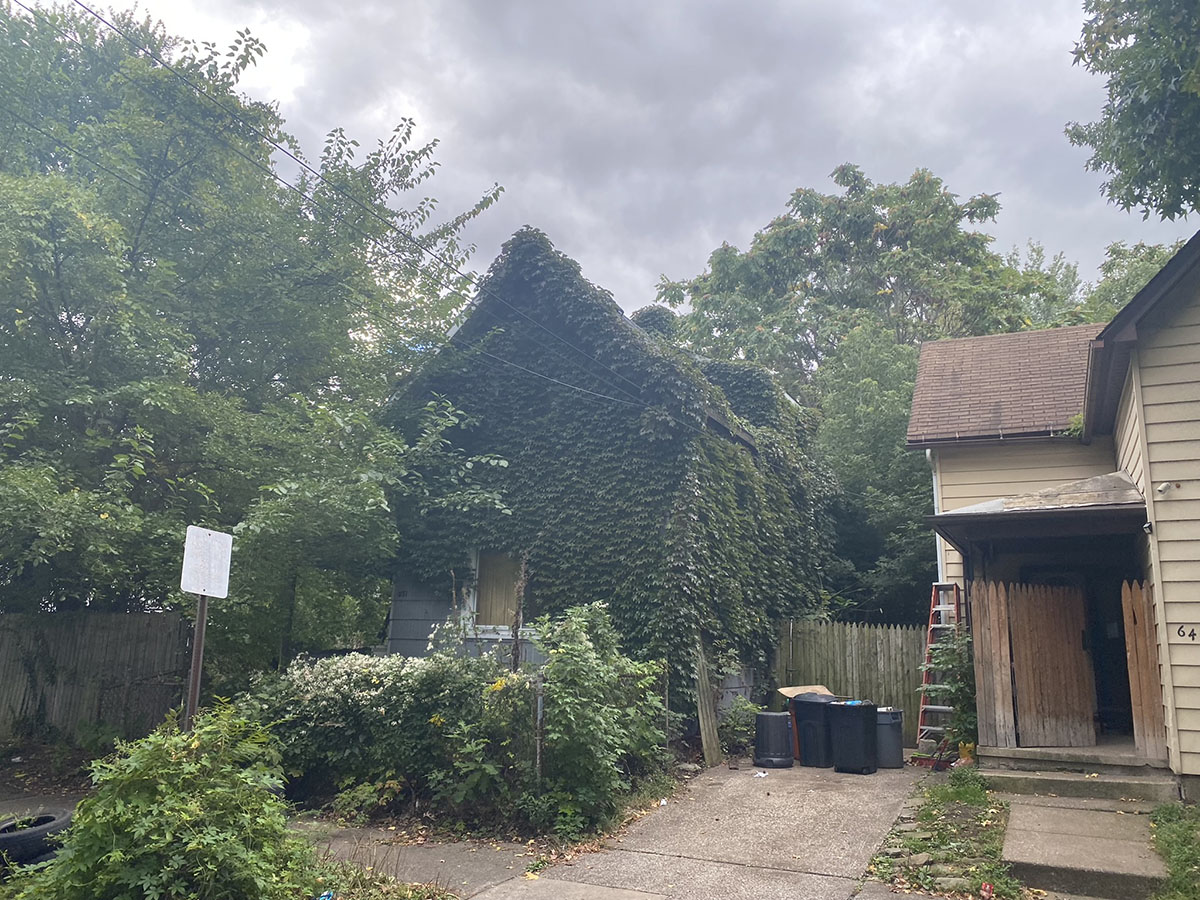 blighted home in erie pa covered with vegetation